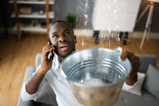 Best Flood damage cleanup  in Bridgeport, CT