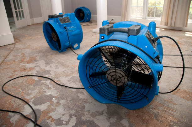 Best Flood restoration services  in Bridgeport, CT