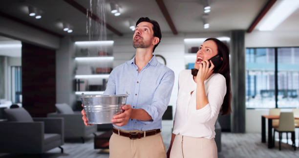 Best Flood damage cleanup  in Bridgeport, CT